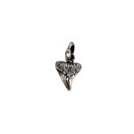 P387 Sterling Silver Shark Tooth Pendant