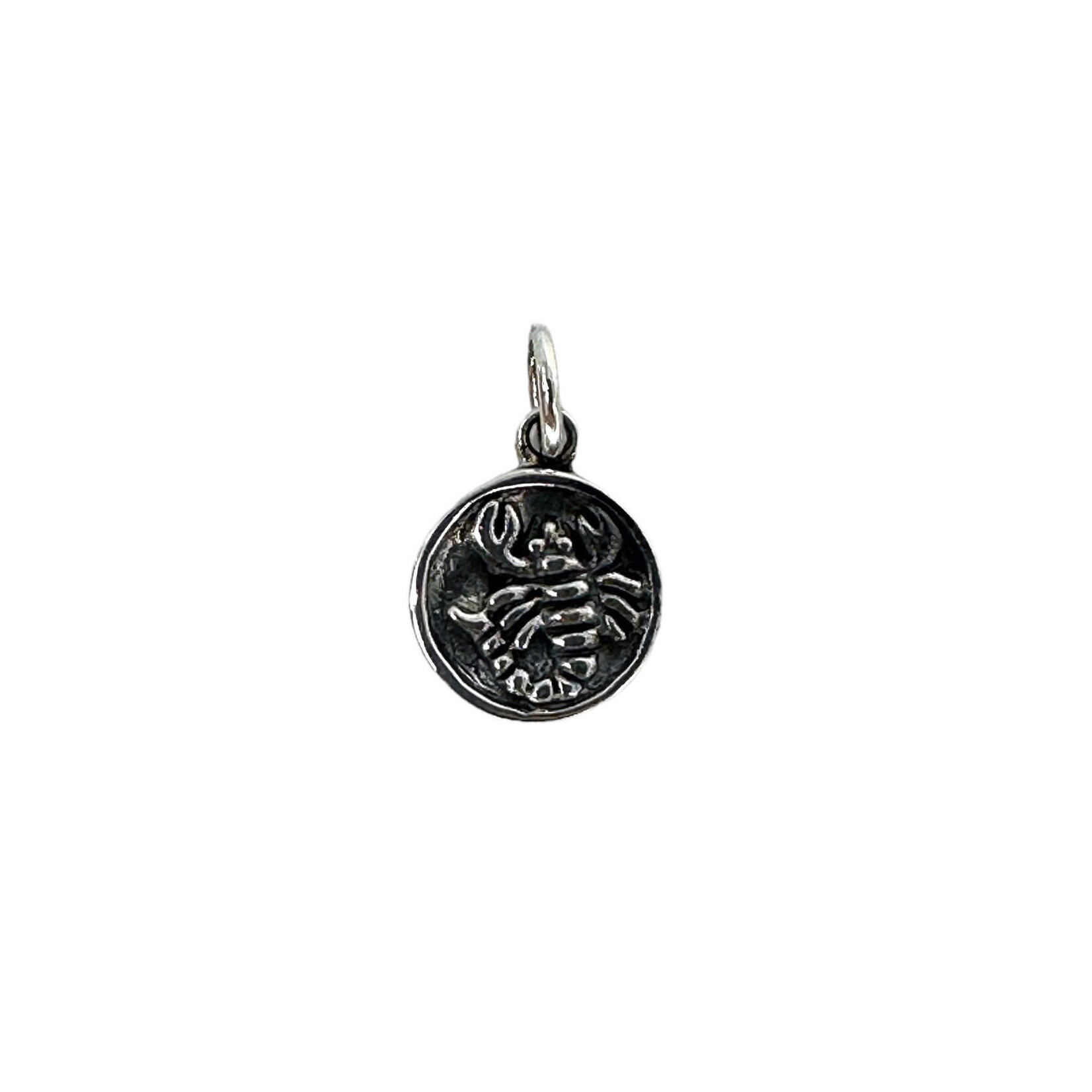 P411 Sterling Silver Scorpio Zodiac Sign and Constellation Reversible Pendant