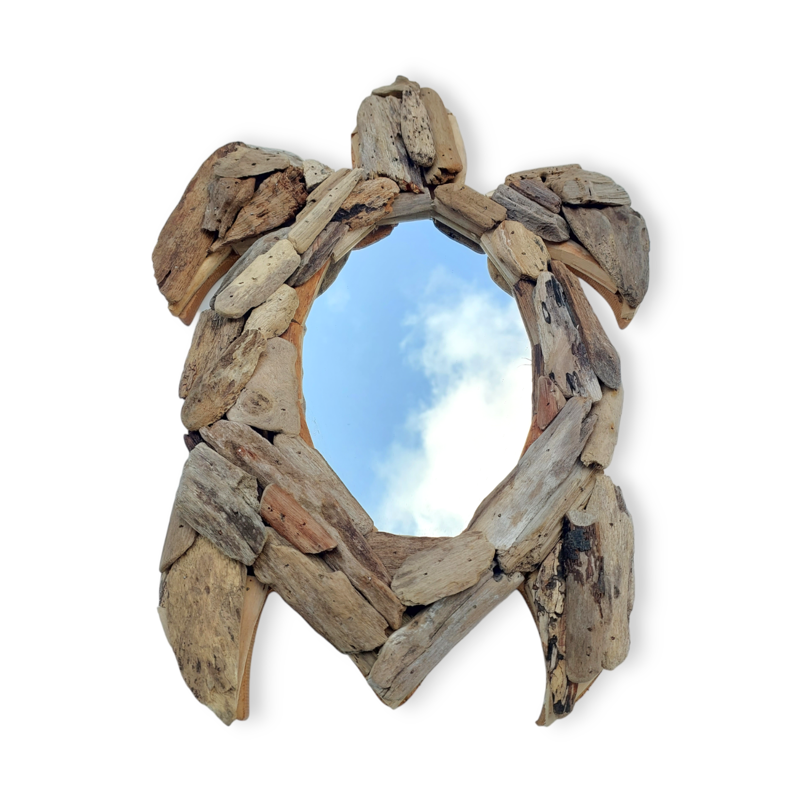 Hand Made Driftwood Turtle Framed Mirror