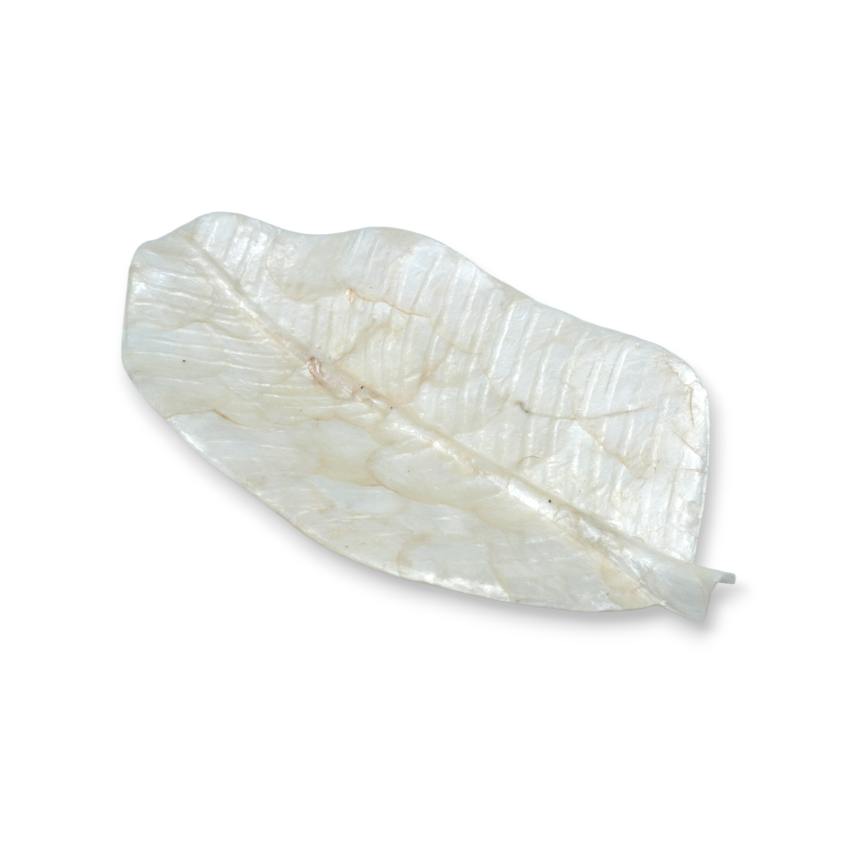 Hand Made Capiz Shell Dish Leaf Shape Large