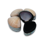 Hand Made Brown Shell Jewelry Box Small 5cm x 7cm