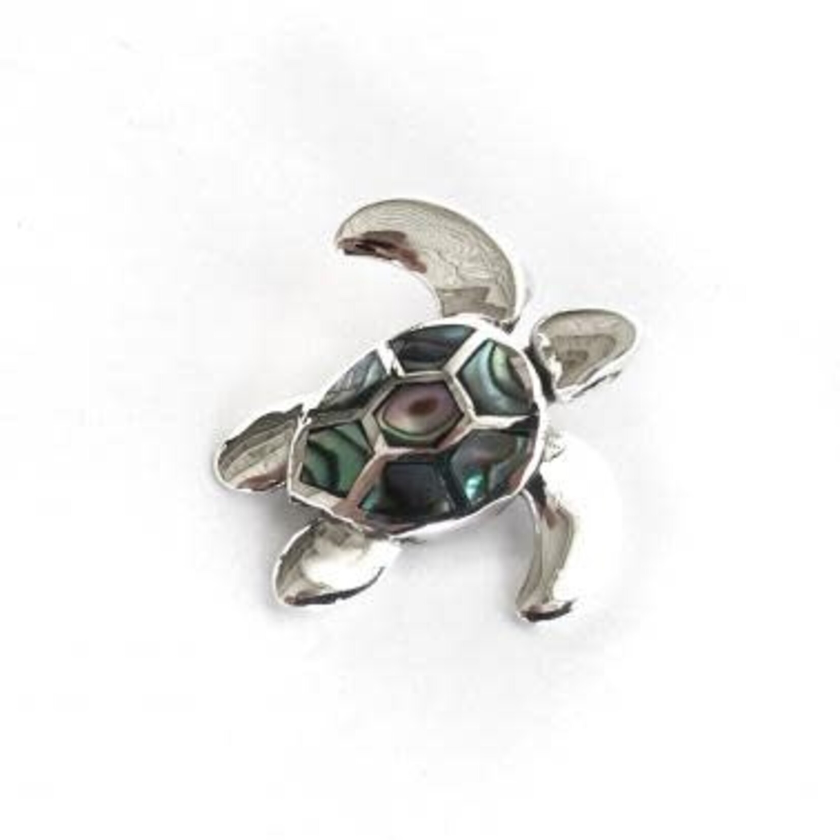 P293 Sterling Silver Paua Back and Belly Turtle Pendant