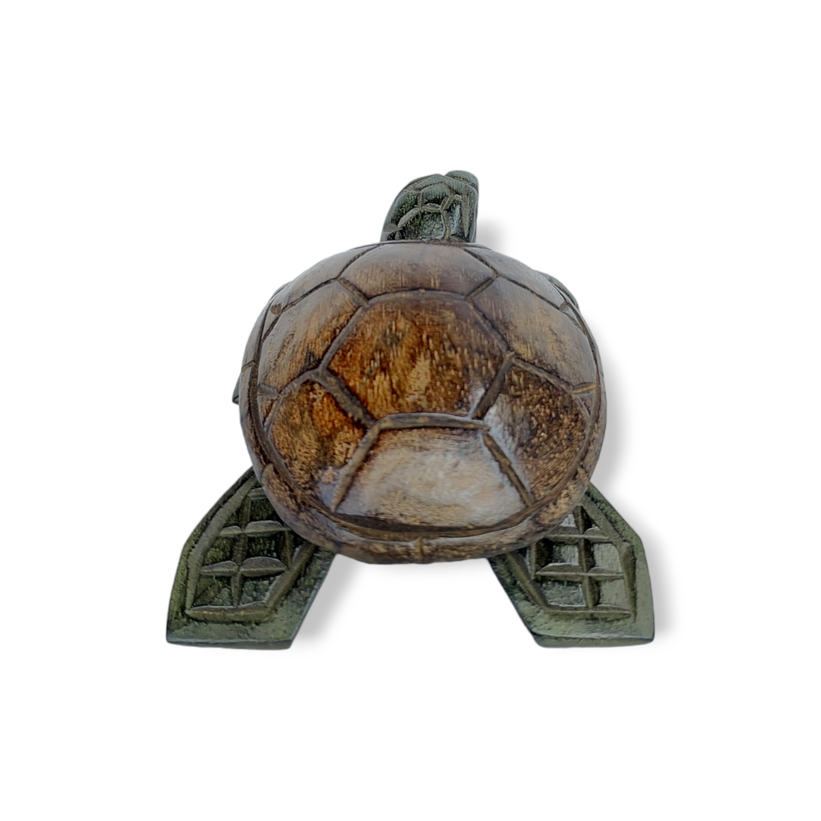 Hand Carved Two Tone Albesia Wood Turtle Box Small