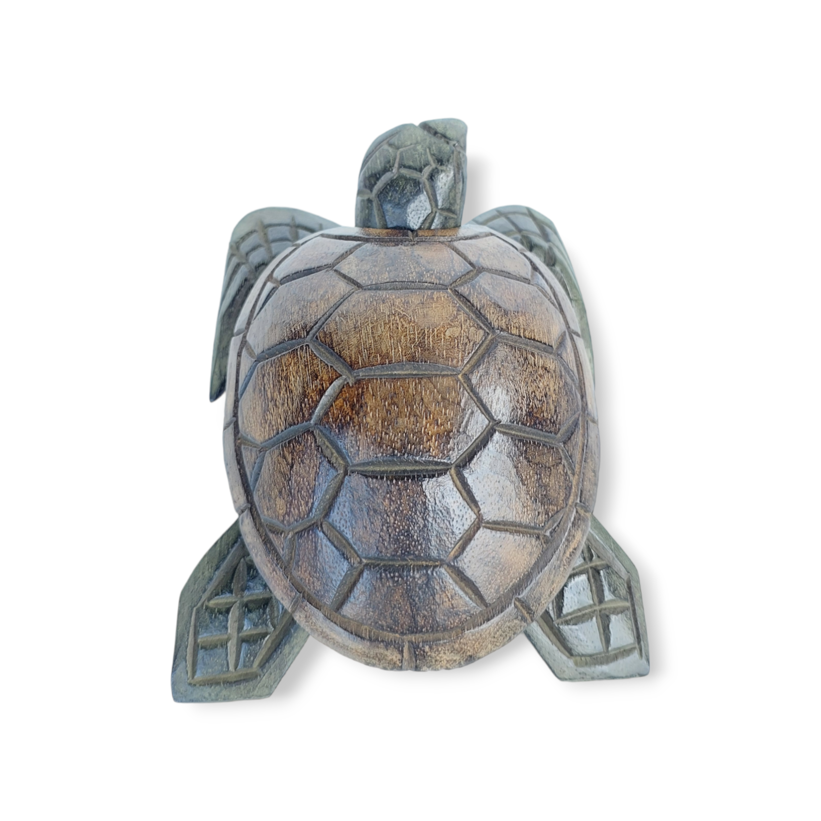 Hand Carved Two Tone Albesia Wood Turtle Box Large
