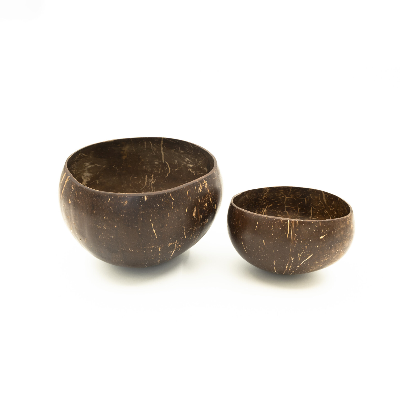 Coconut Shell Bowl Large