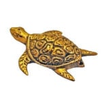 Bronze Turtle Gold