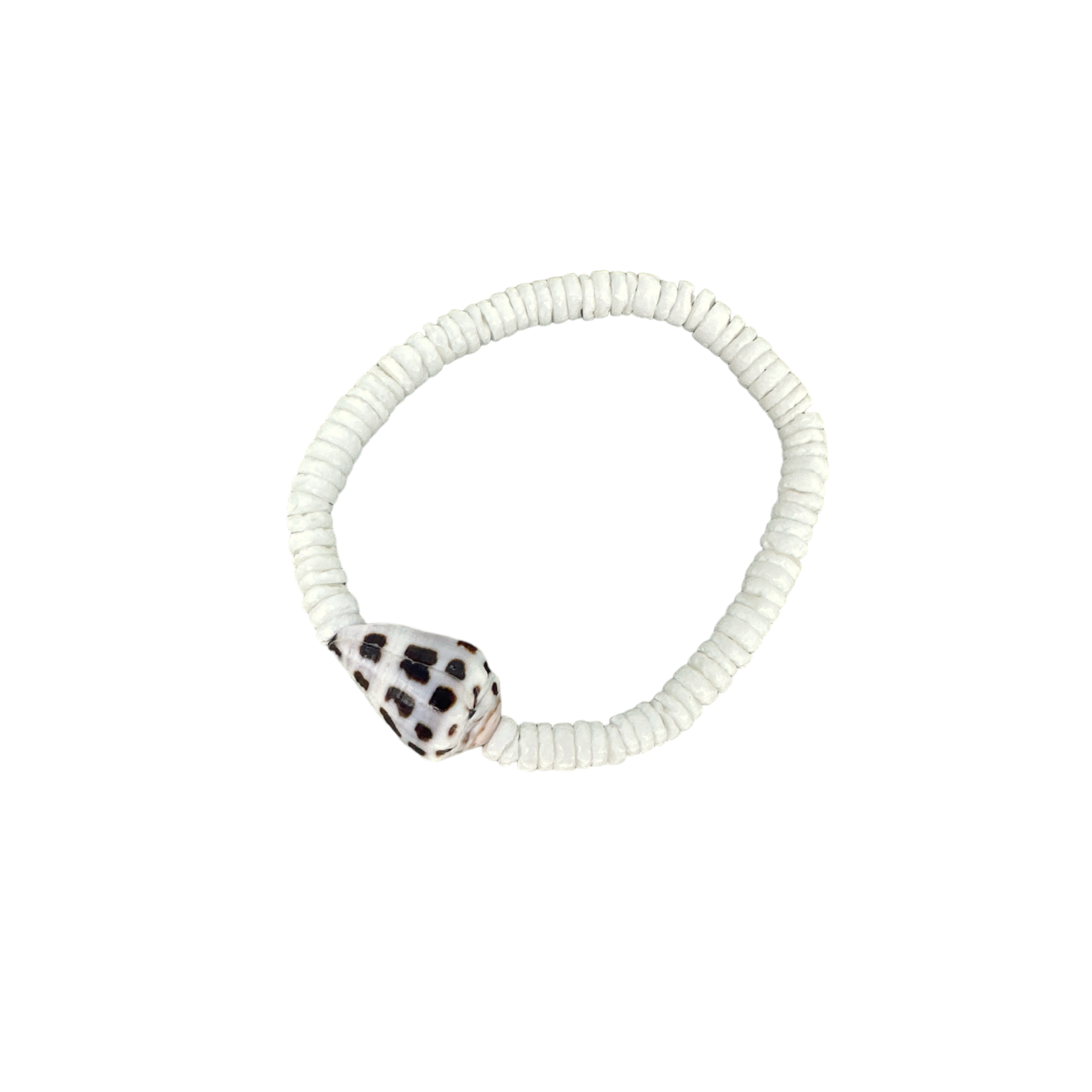 Hebrew Shell and 5mm White Shell Bead Stretch Bracelet