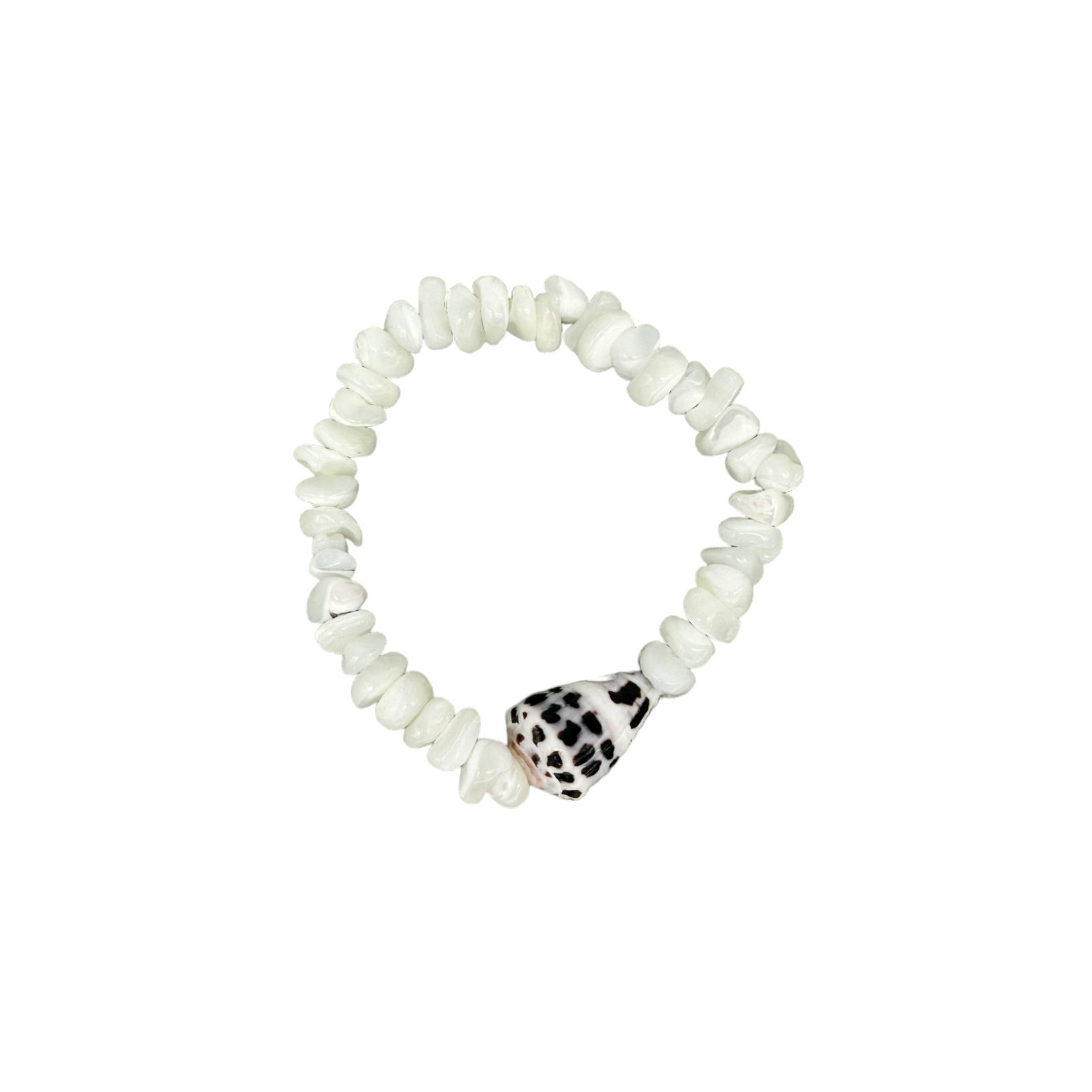 Hebrew Shell and Mother of Pearl Bead Stretch Bracelet