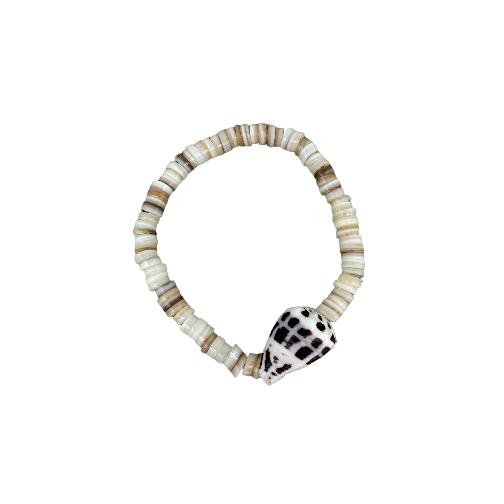 Hebrew Shell and Mixed Shell Bead Stretch Bracelet