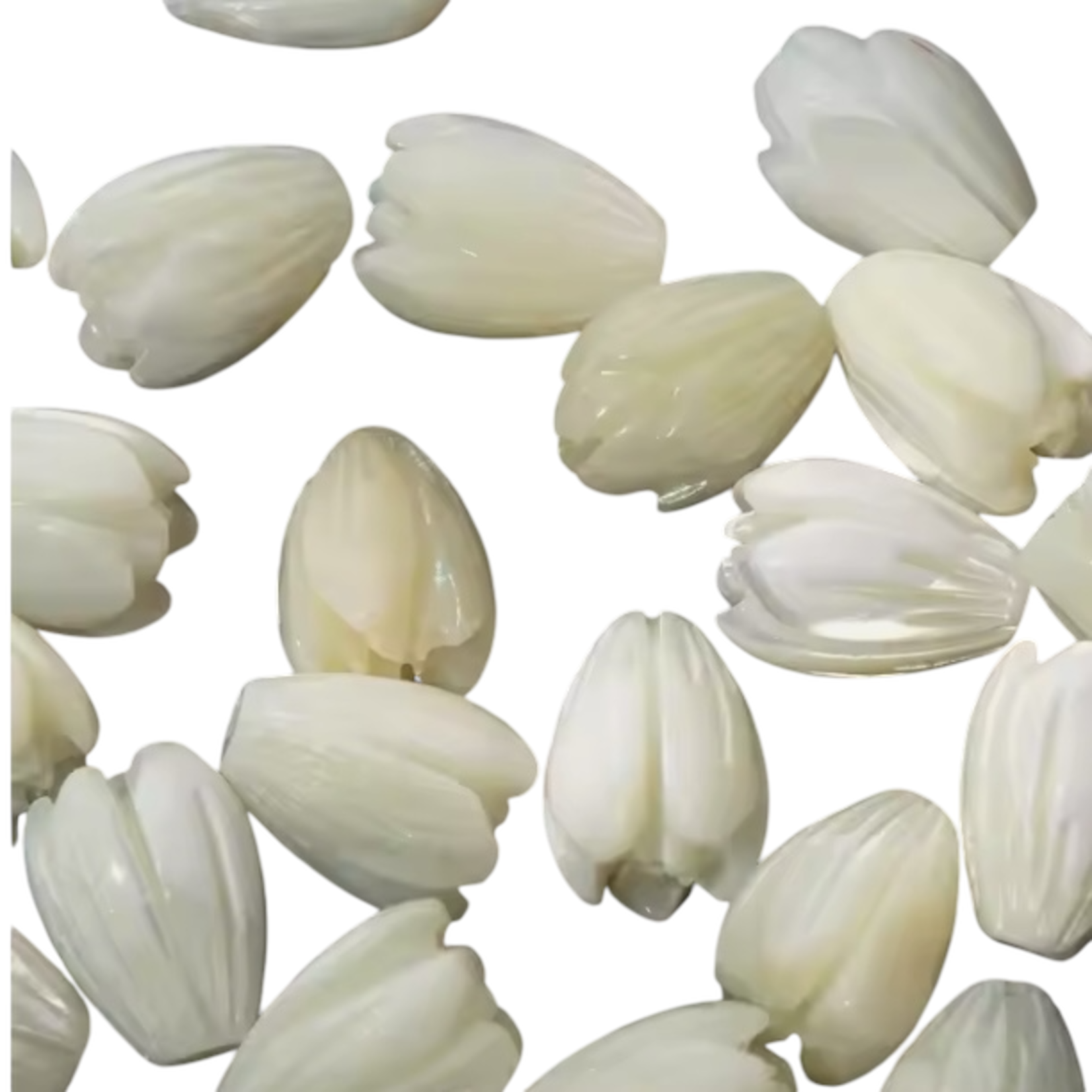 Mother of Pearl Pikake Shell Beads 8x11mm, Pack of 10