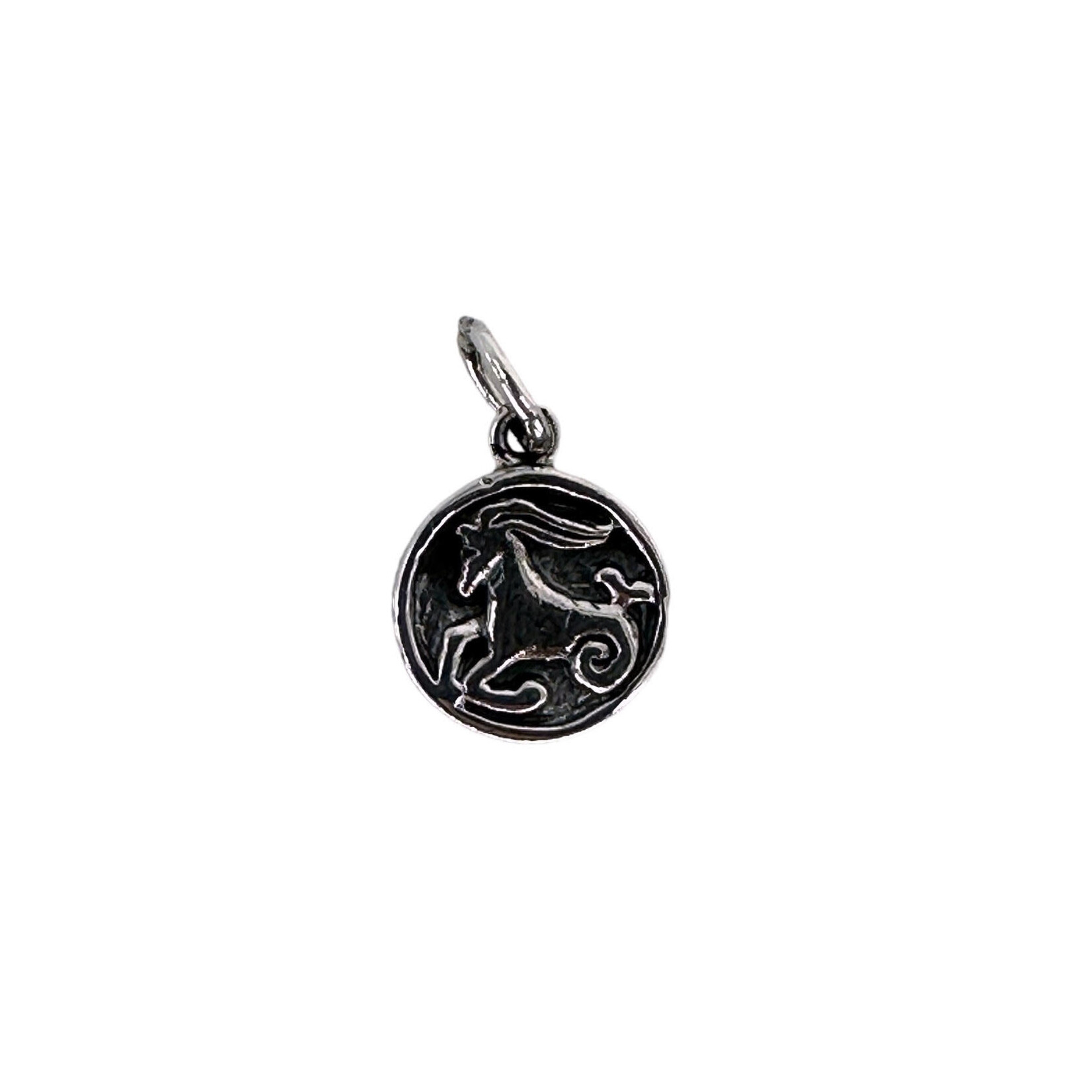 P408 Sterling Silver Capricorn Zodiac Sign and Constellation Reversible Pendant