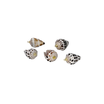 2.5-3.5cm Hebrew Shell with 15k Gold Plated Bail Pack of 5