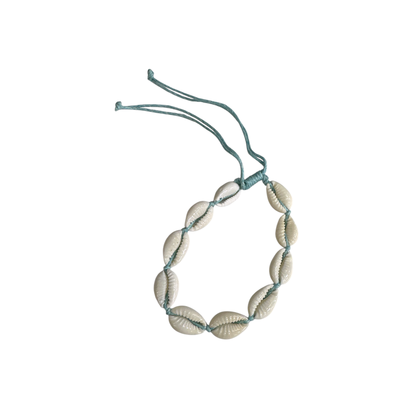 Cowry Shell Adjustable String Bracelet Seafoam