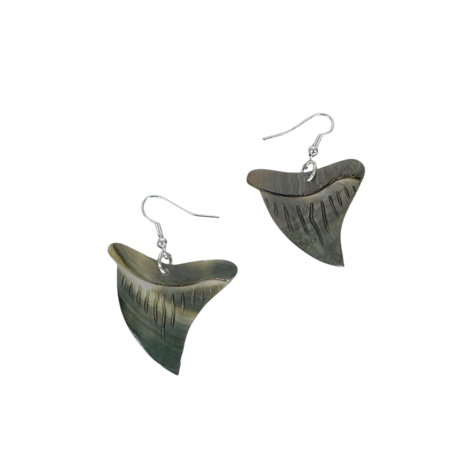 EA202 Shell Earrings Grey Shell Carved Shark Tooth