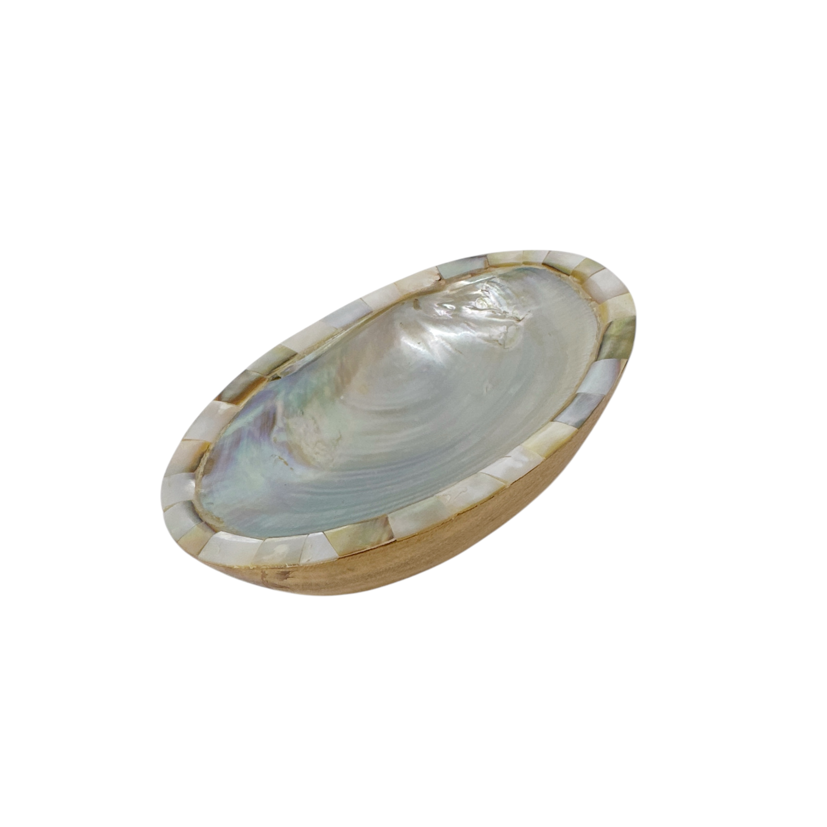 Hand Made Shell Dish with Teak Wood Base