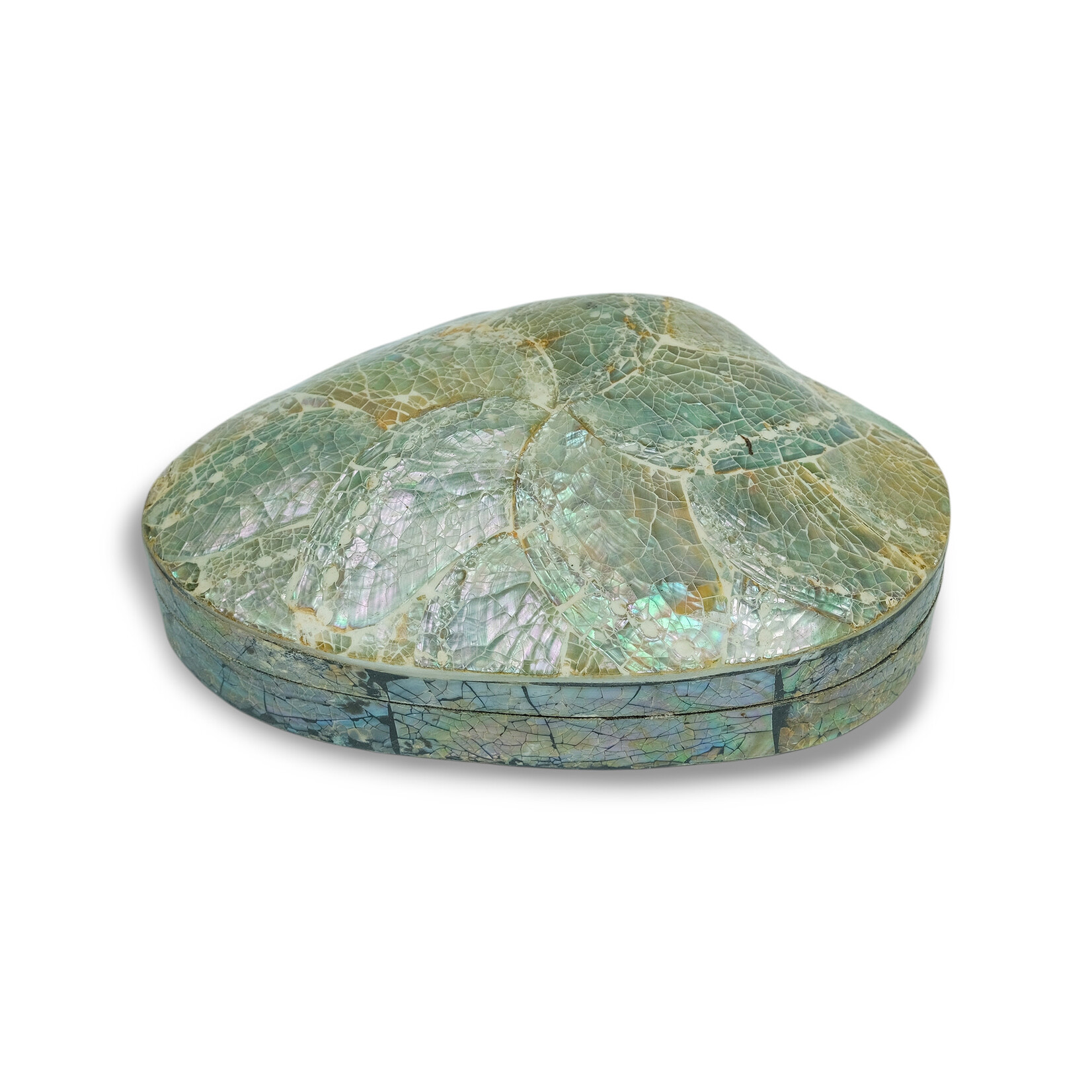 Hand Made Light Seven Eye Shell Jewelry Box 24cm x 15cm