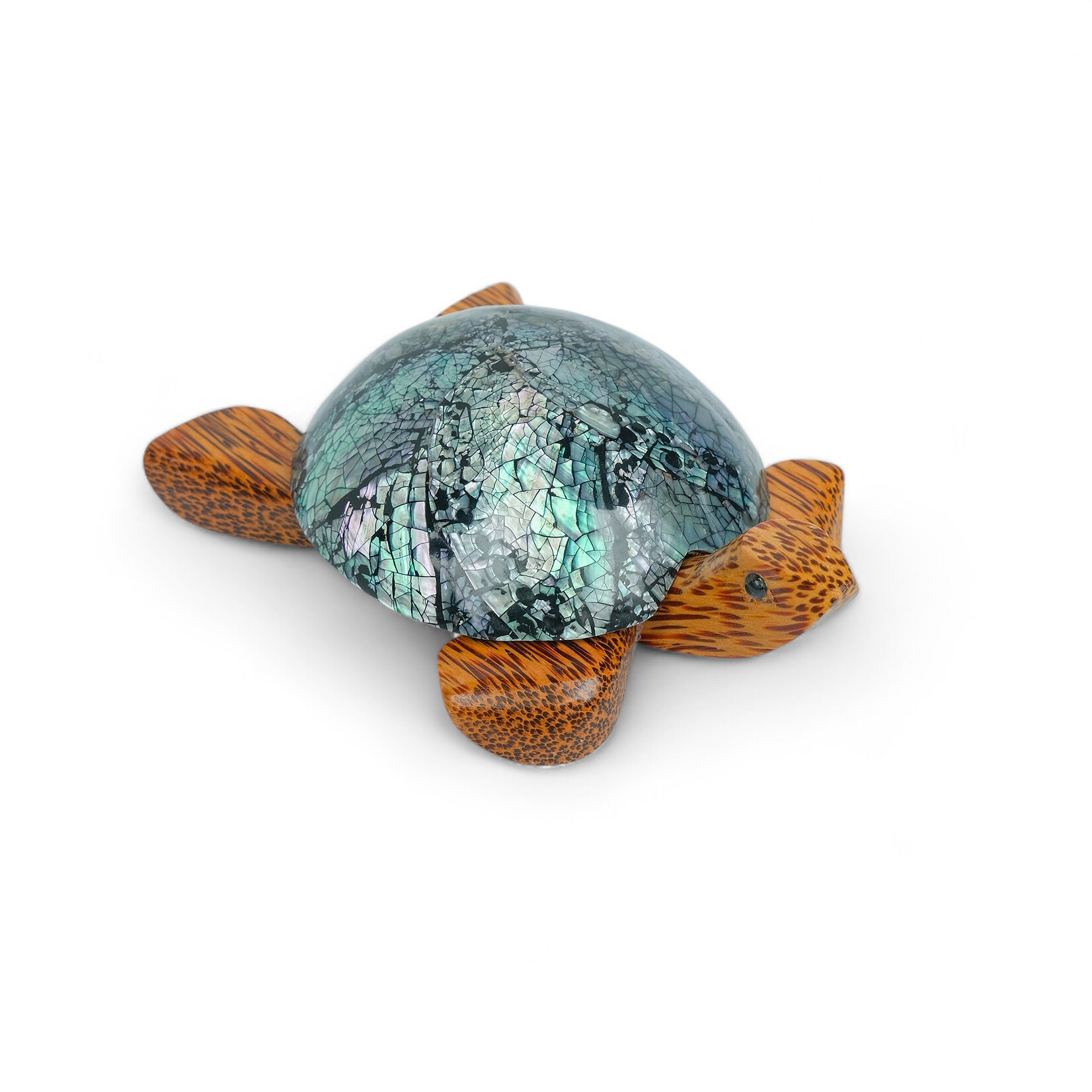 Hand Carved 7 Eye Shell Coconut Turtle