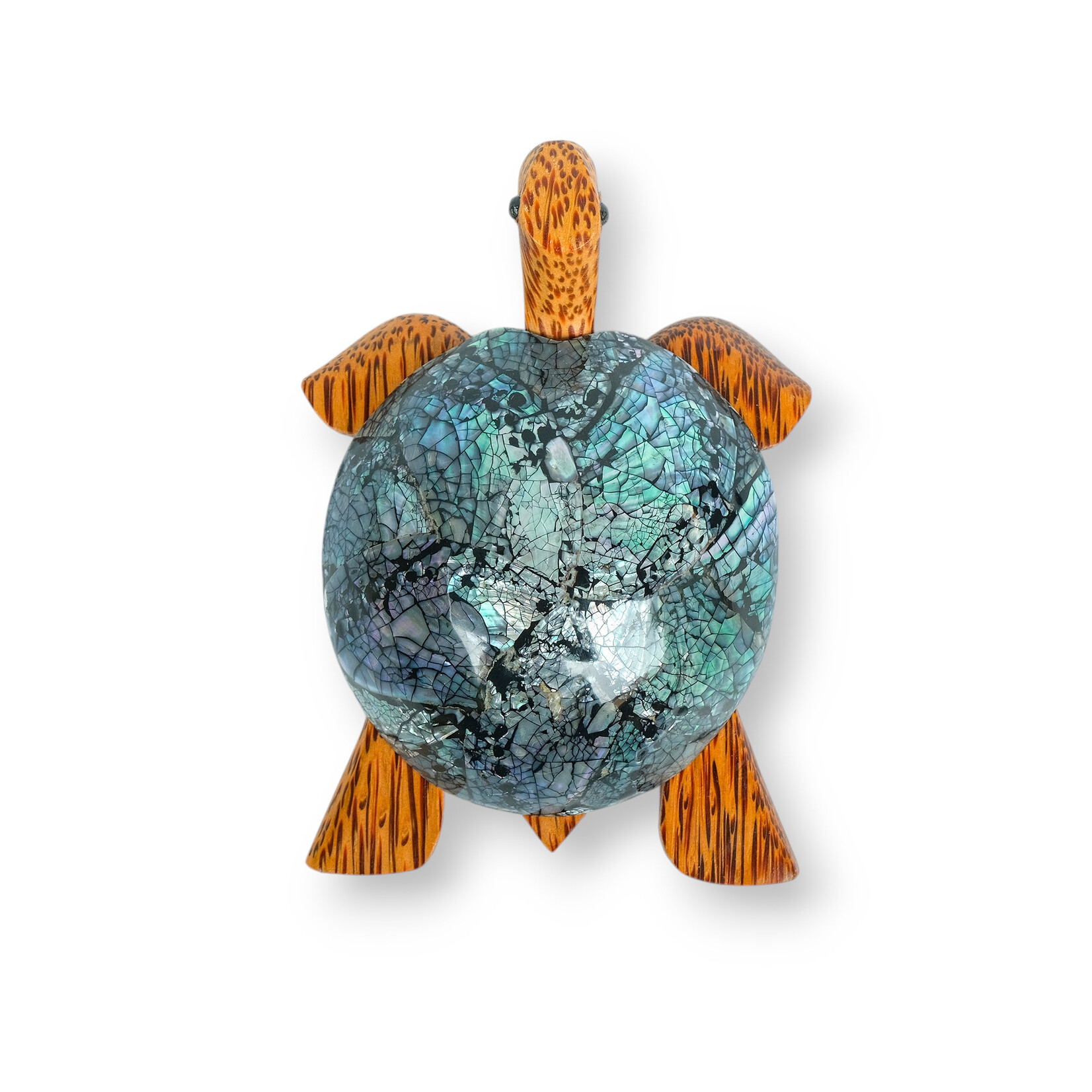 Hand Carved 7 Eye Shell Coconut Turtle