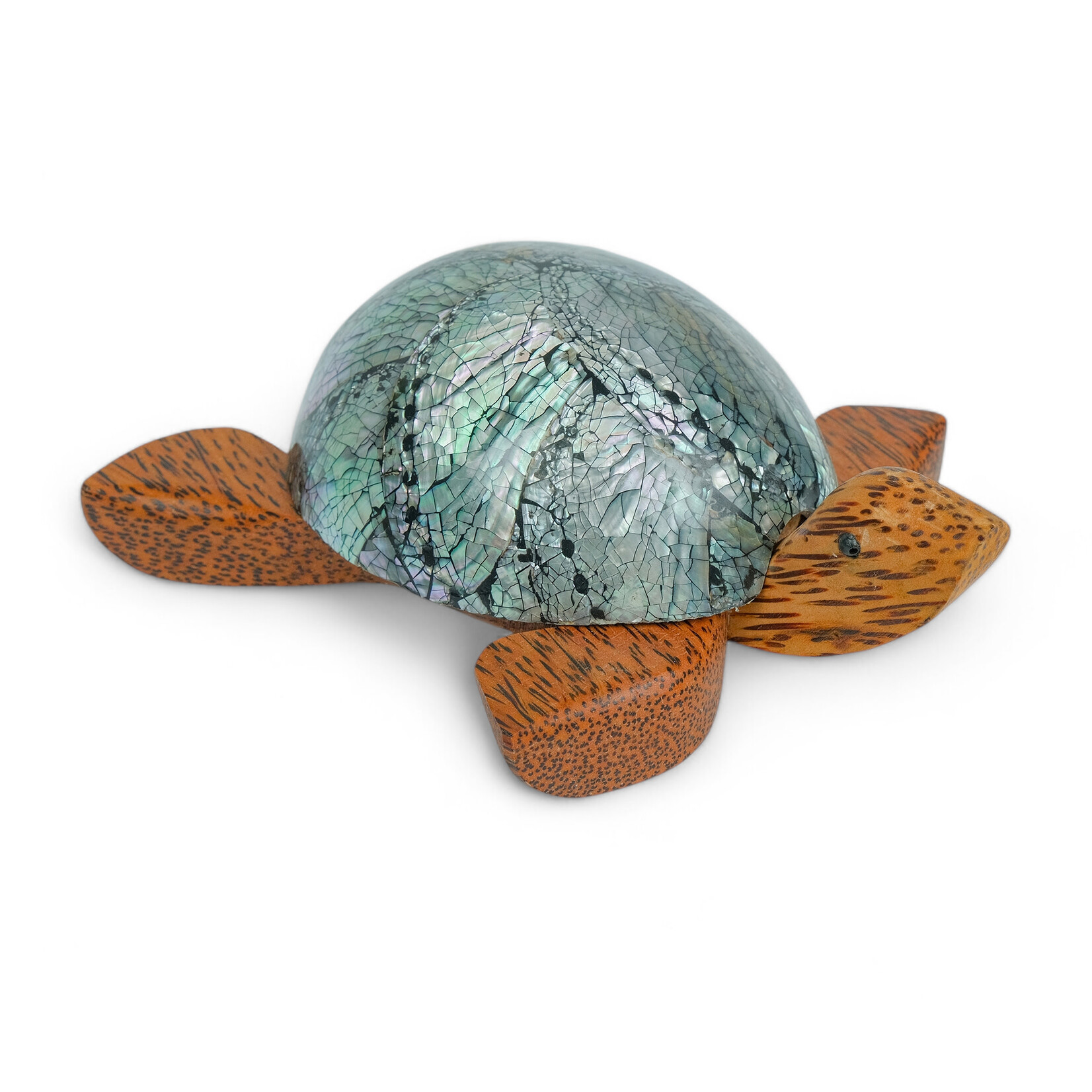 Hand Carved 7 Eye Shell Coconut Turtle Large