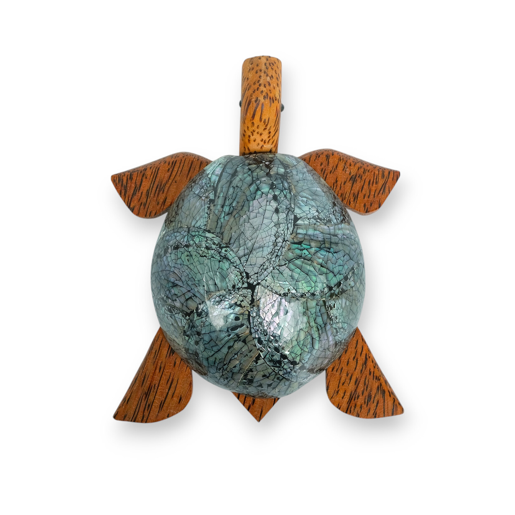 Hand Carved 7 Eye Shell Coconut Turtle Large