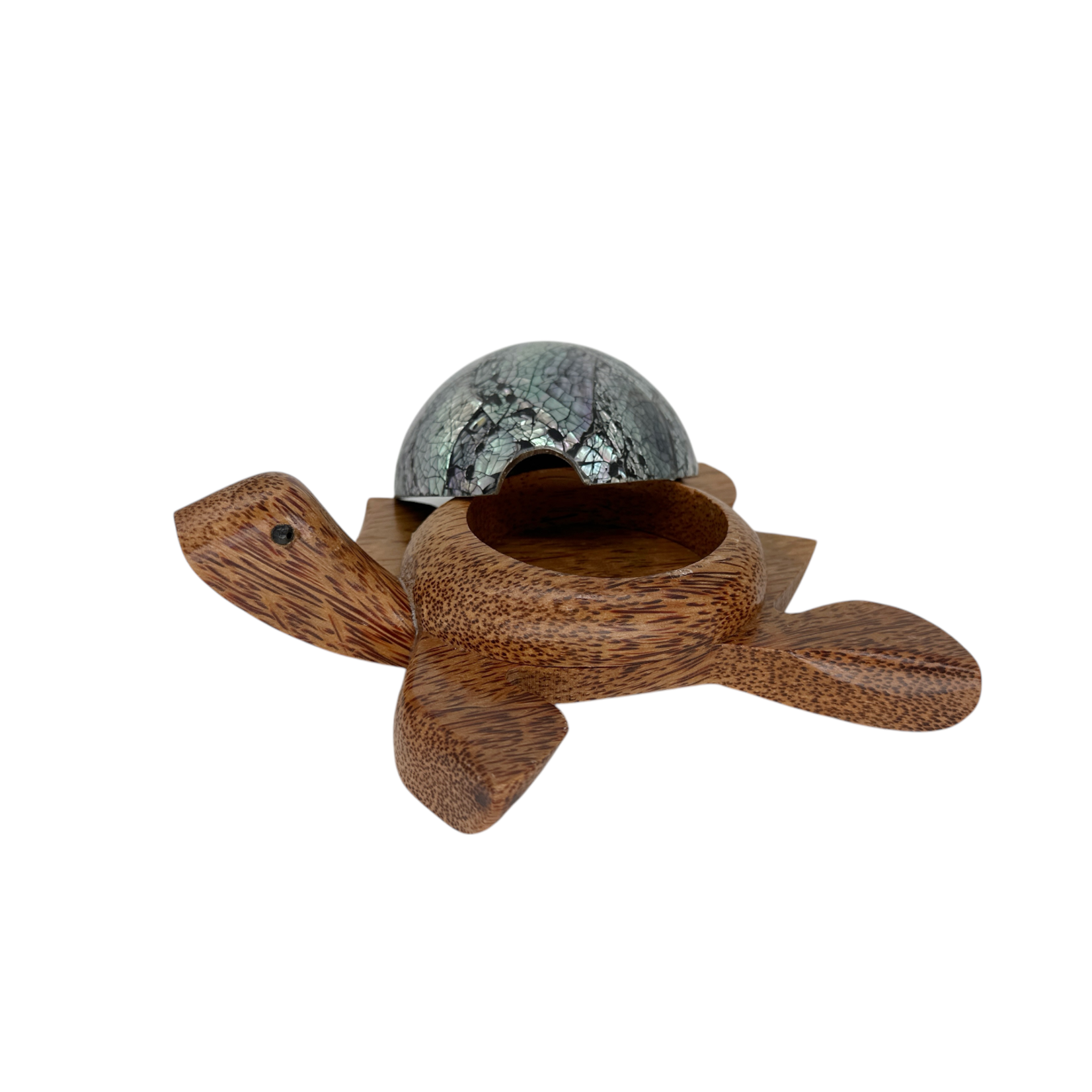 Hand Carved 7 Eye Shell Coconut Turtle Large
