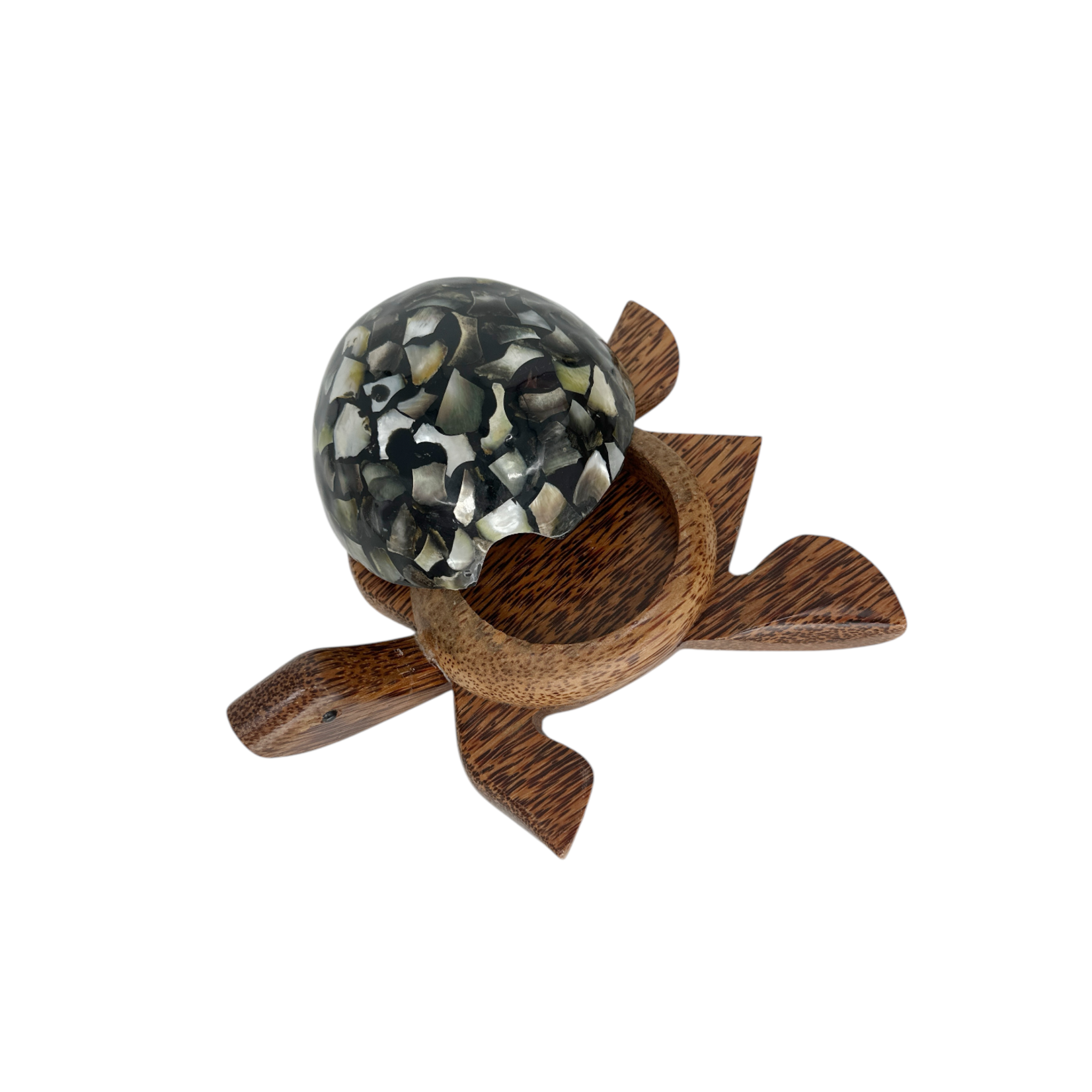 Hand Carved Caping Shell Coconut Turtle Large