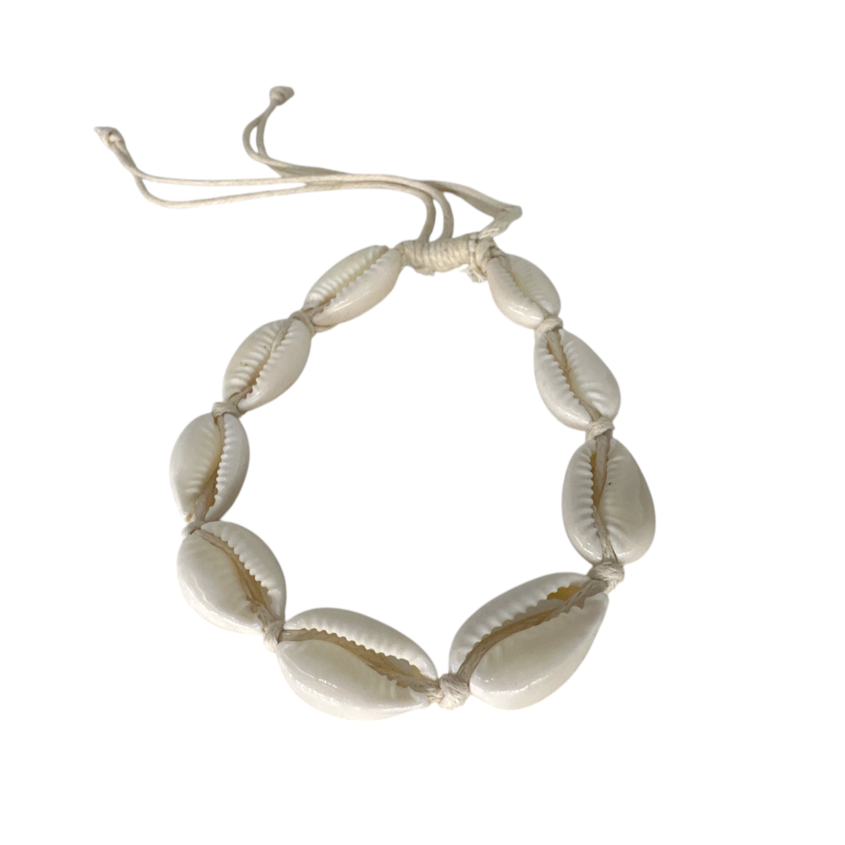 Cowry Shell Adjustable String Bracelet Cream