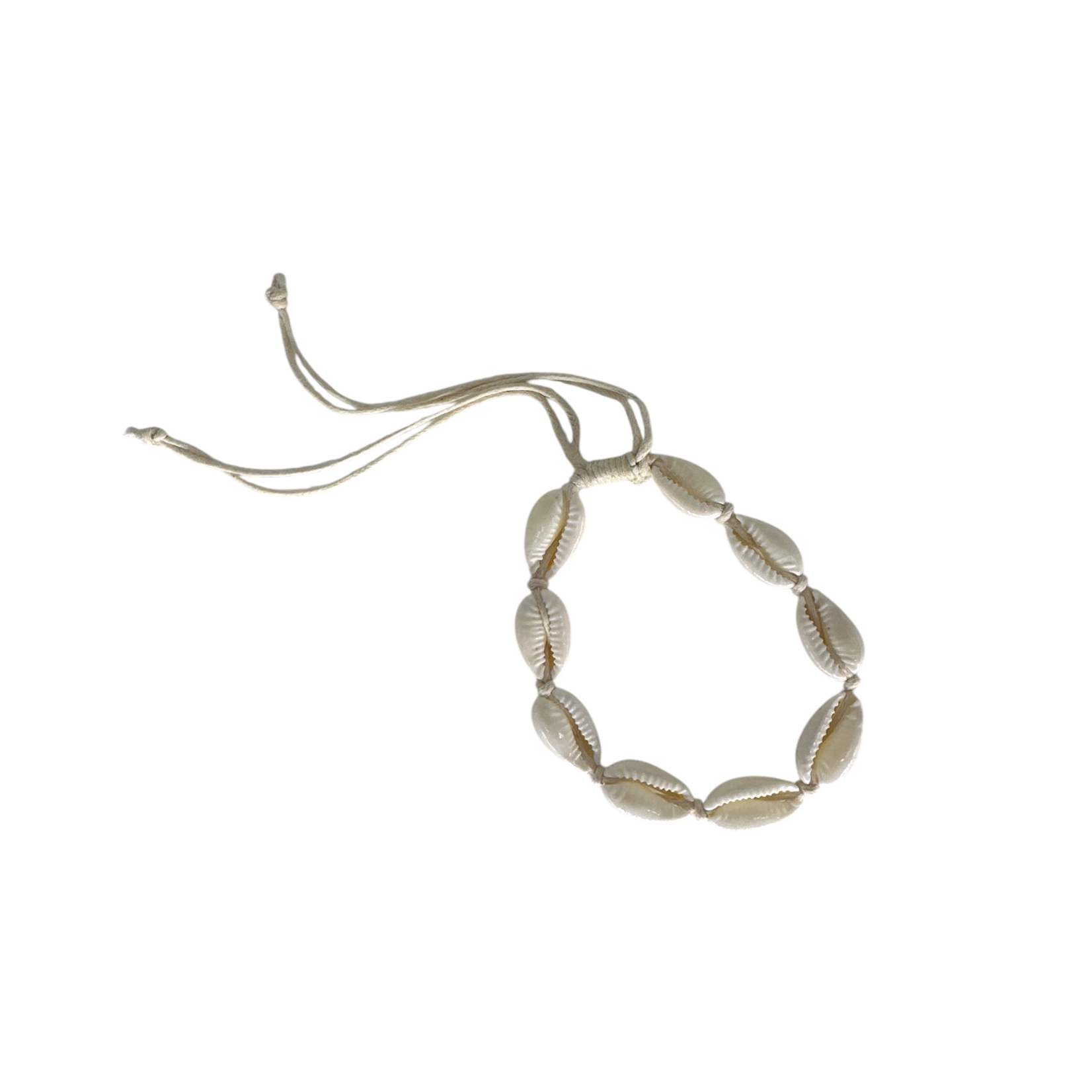 Cowry Shell Adjustable String Bracelet Cream