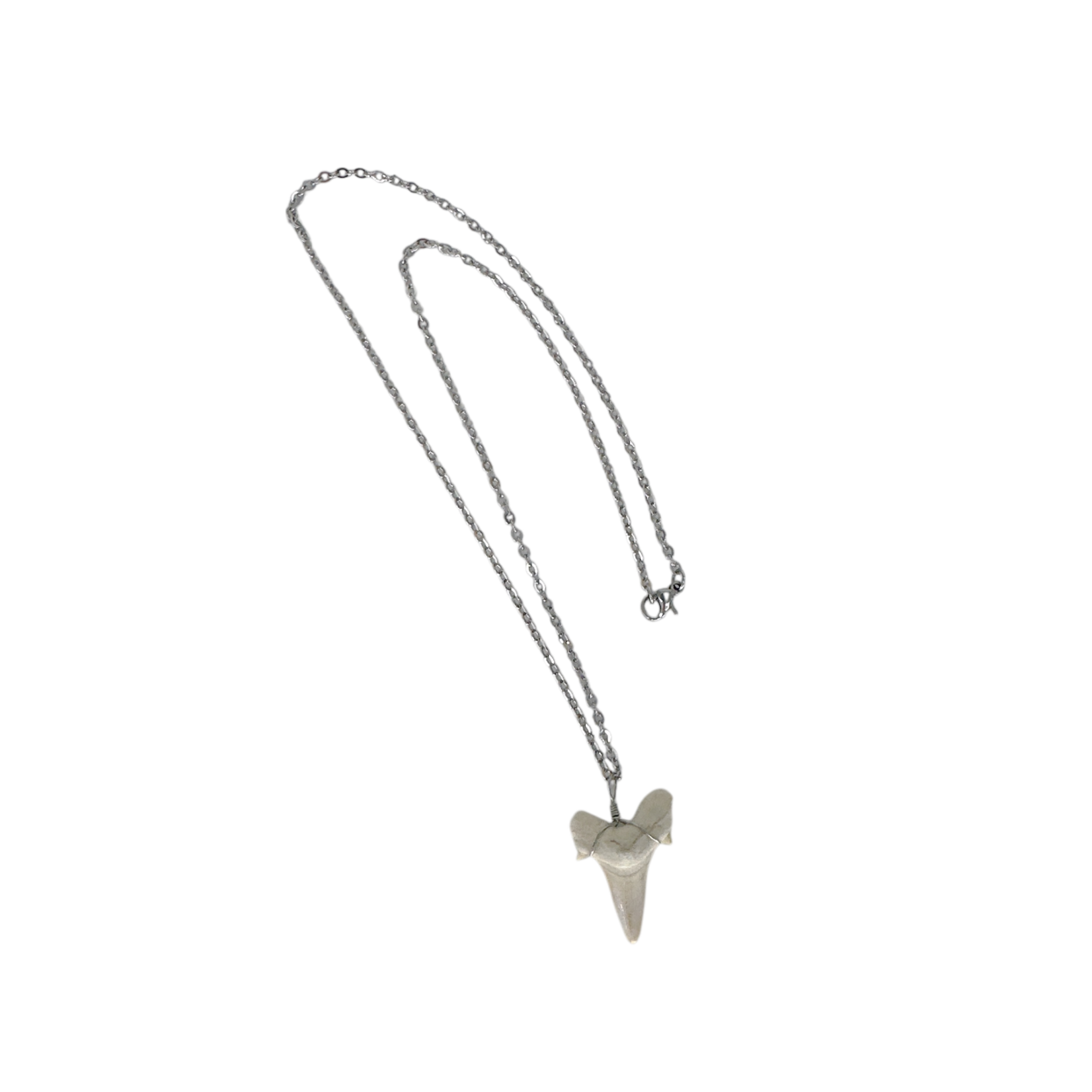 Shark Tooth Pendant on Stainless Steel Chain