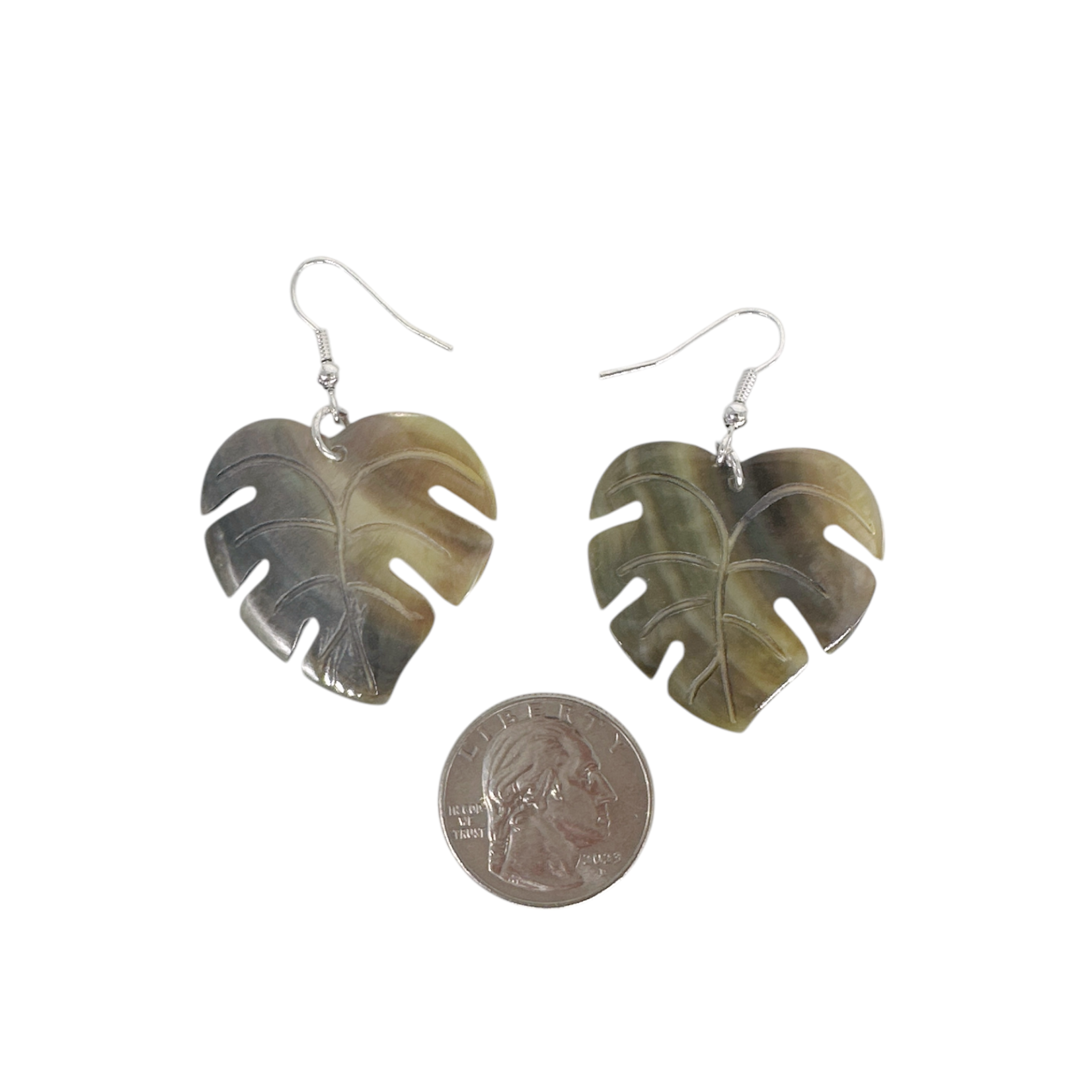 EA181A Island Shell Earrings Monstera Modern Grey
