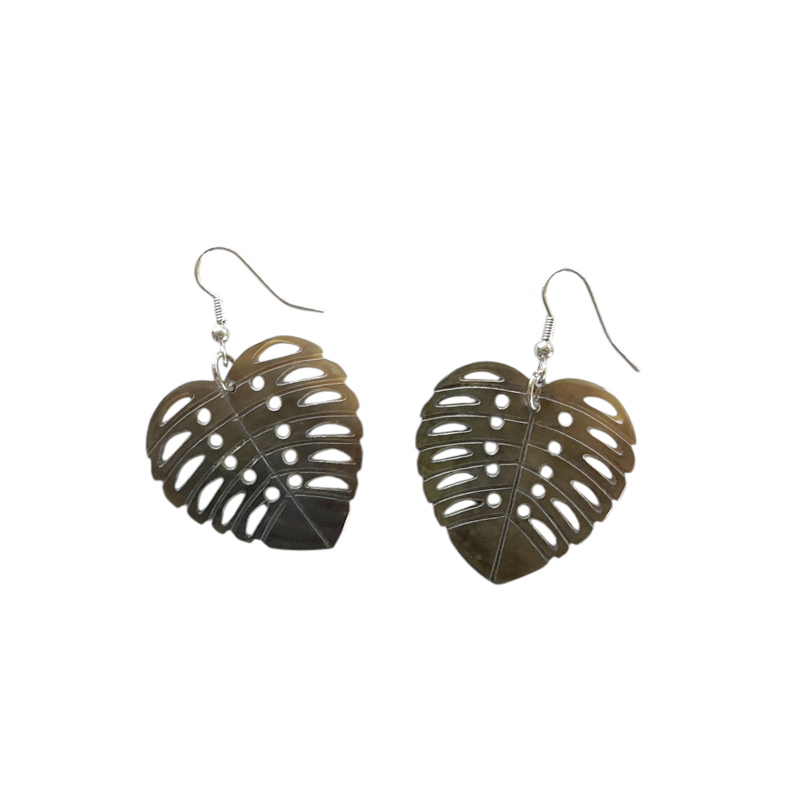 EA180A Island Shell Earrings Monstera Classic Grey