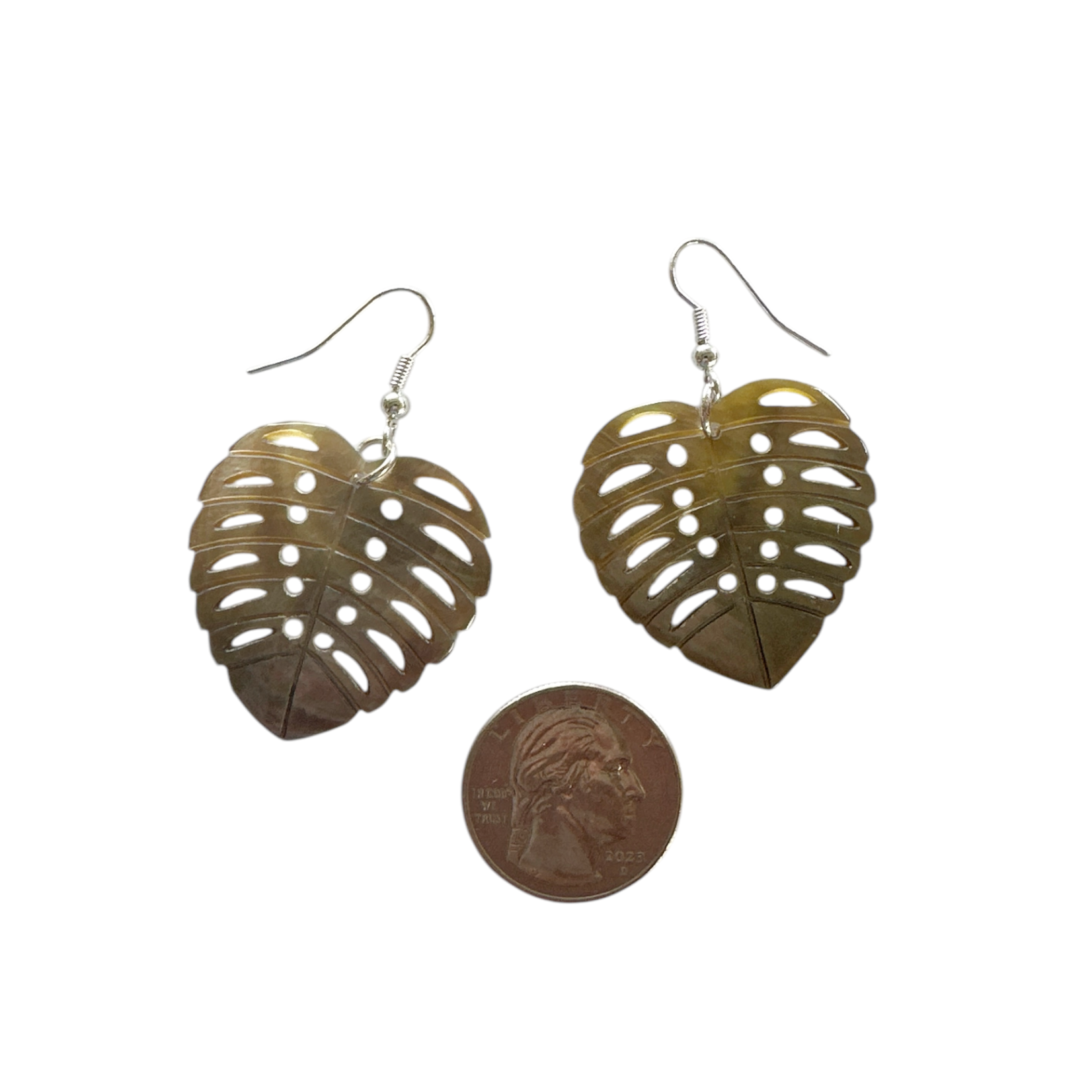 EA180A Island Shell Earrings Monstera Classic Grey