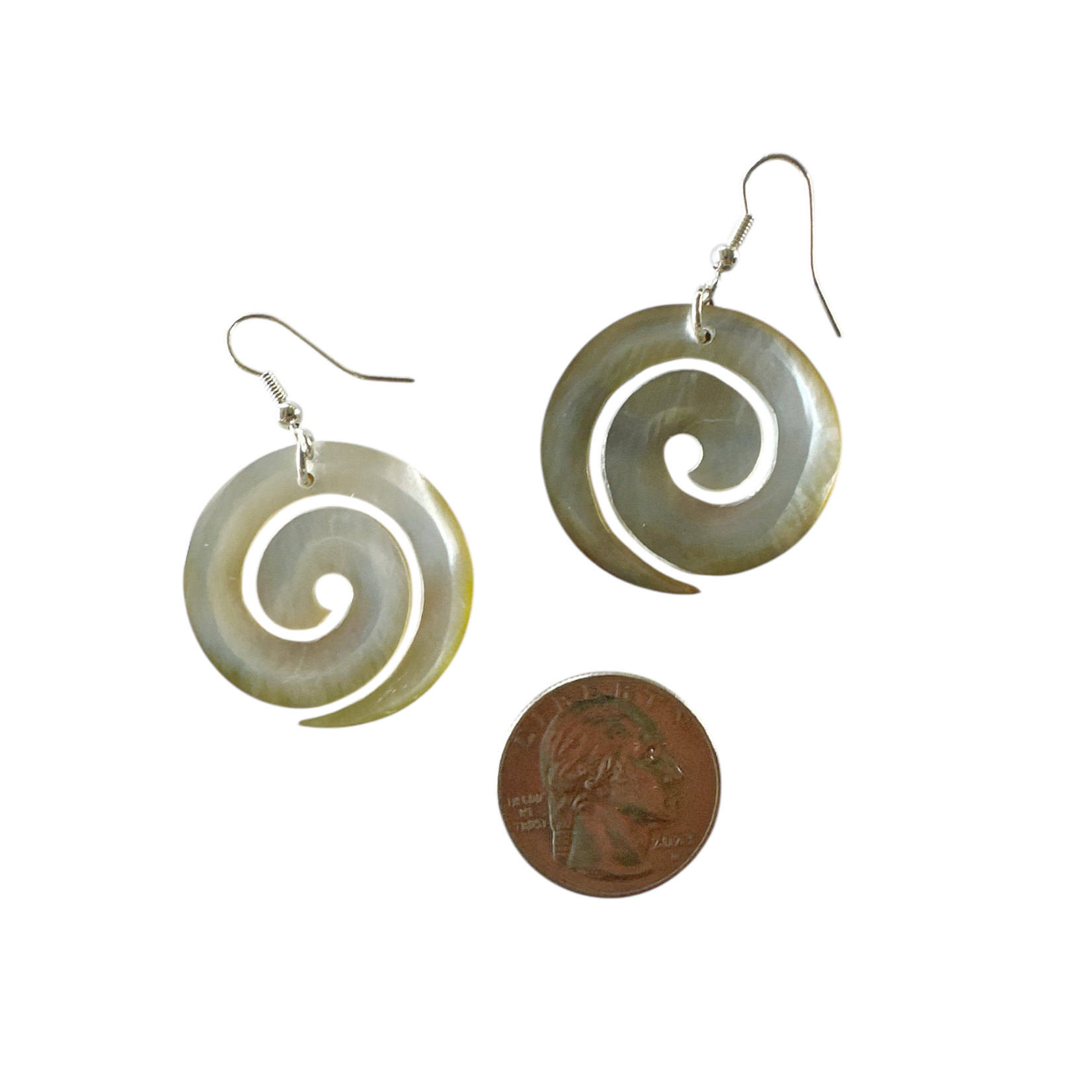 EB3 Shell Earrings Carved Grey Shell Everlasting