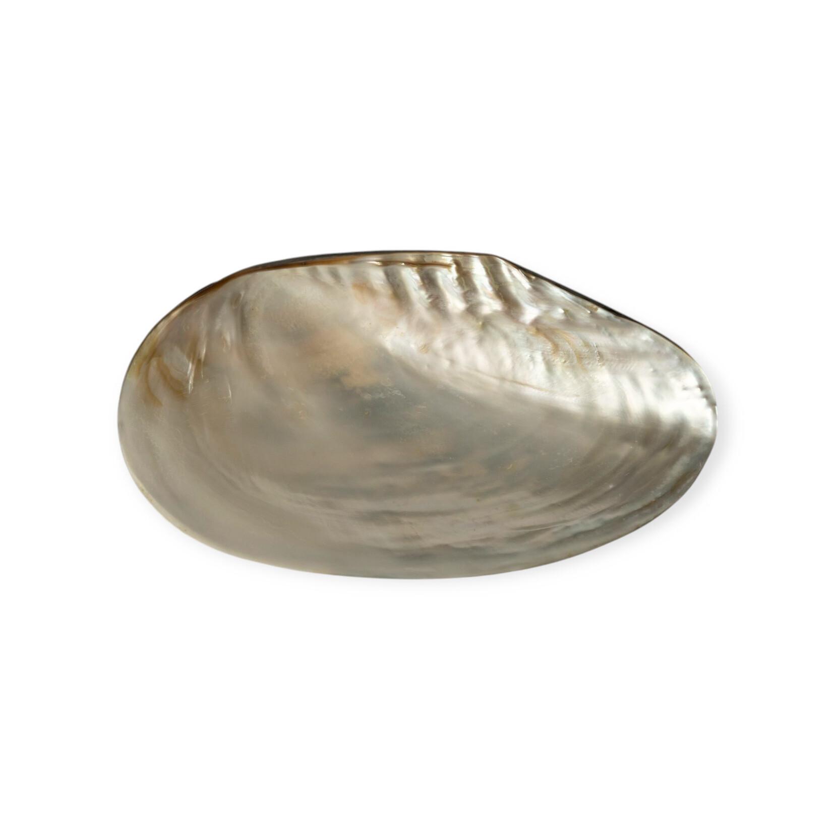 Large Shell Dish with Luana Back