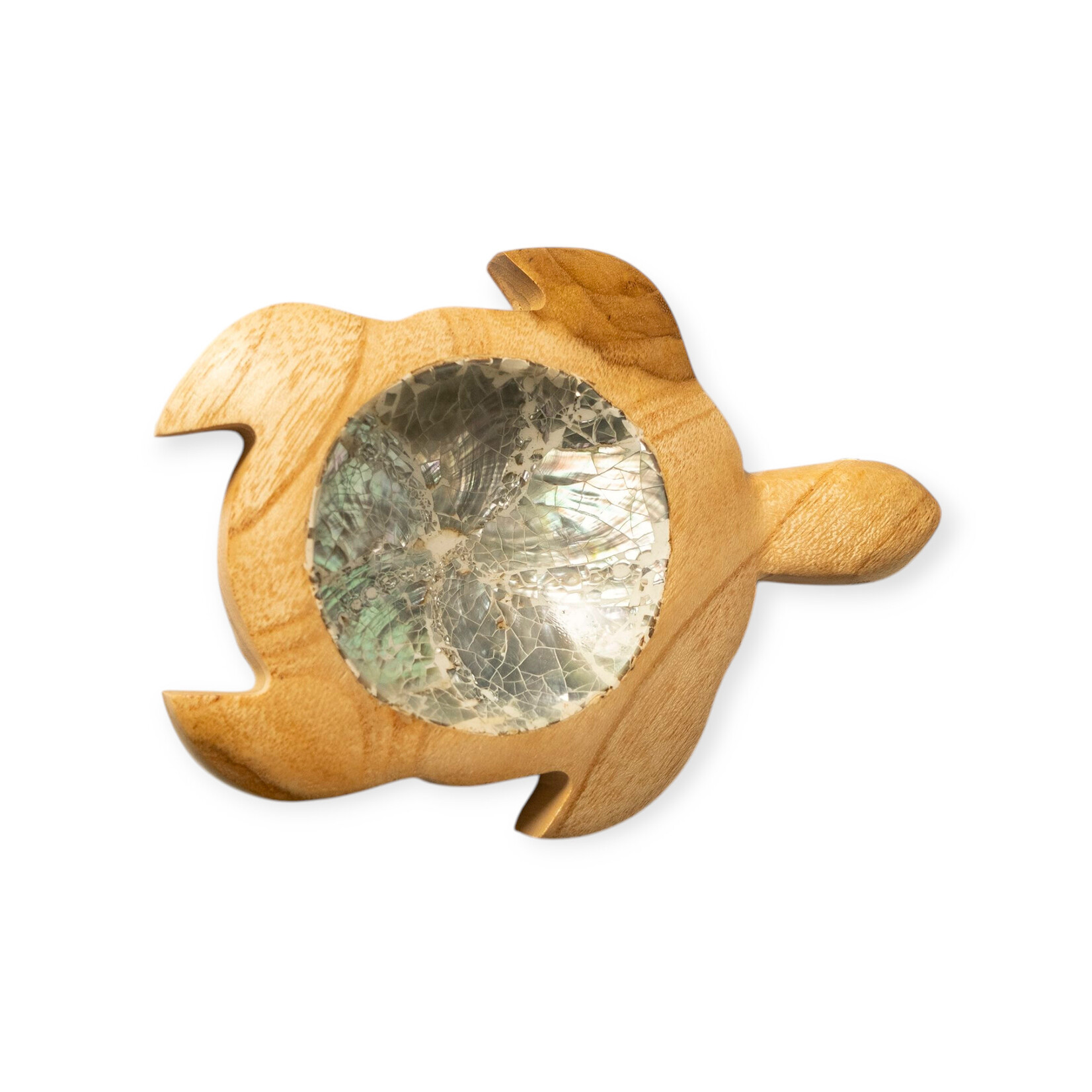 Hand Made 7 Eye Shell White and Teak Wood Turtle Dish