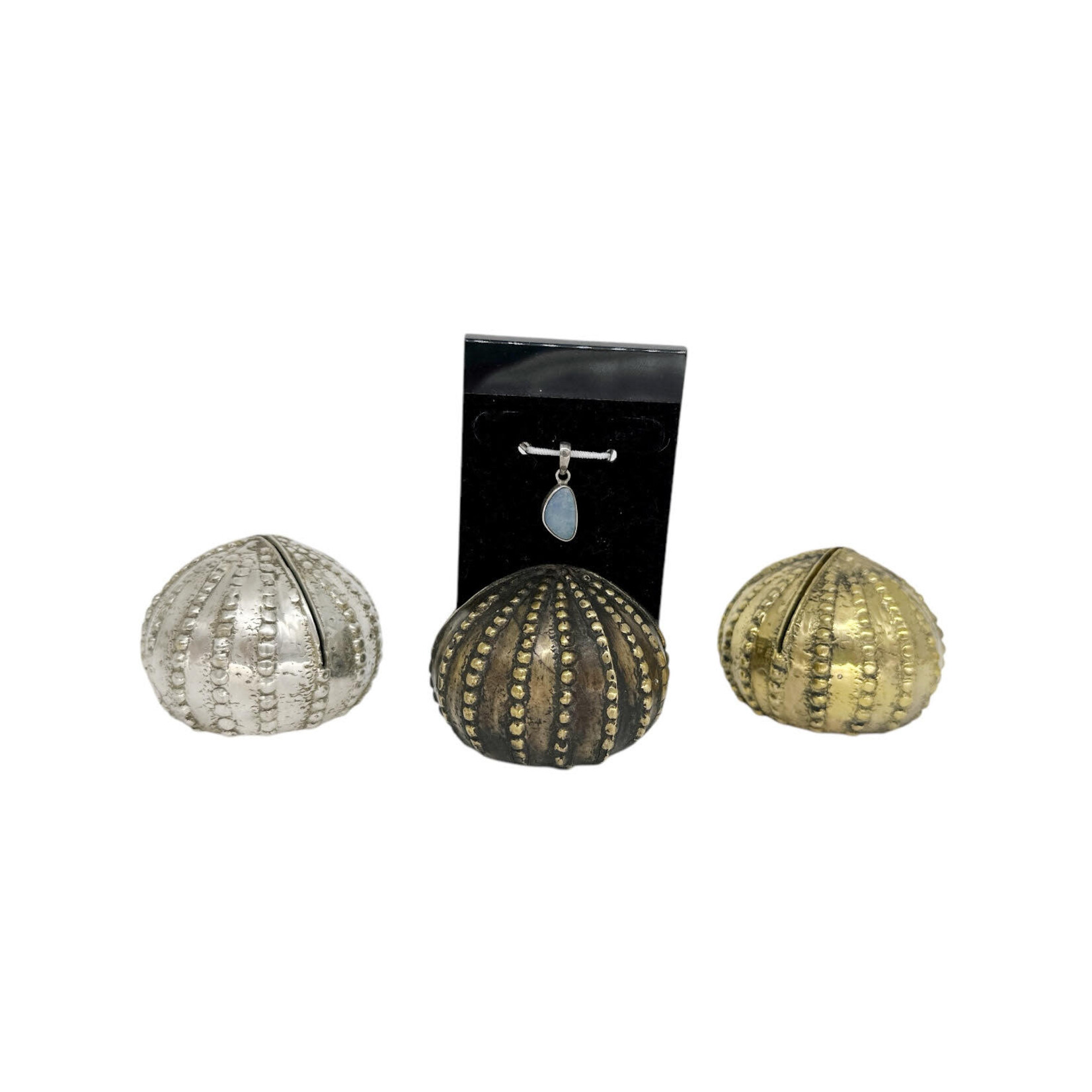 Bronze Sea Urchin Silver Display Base