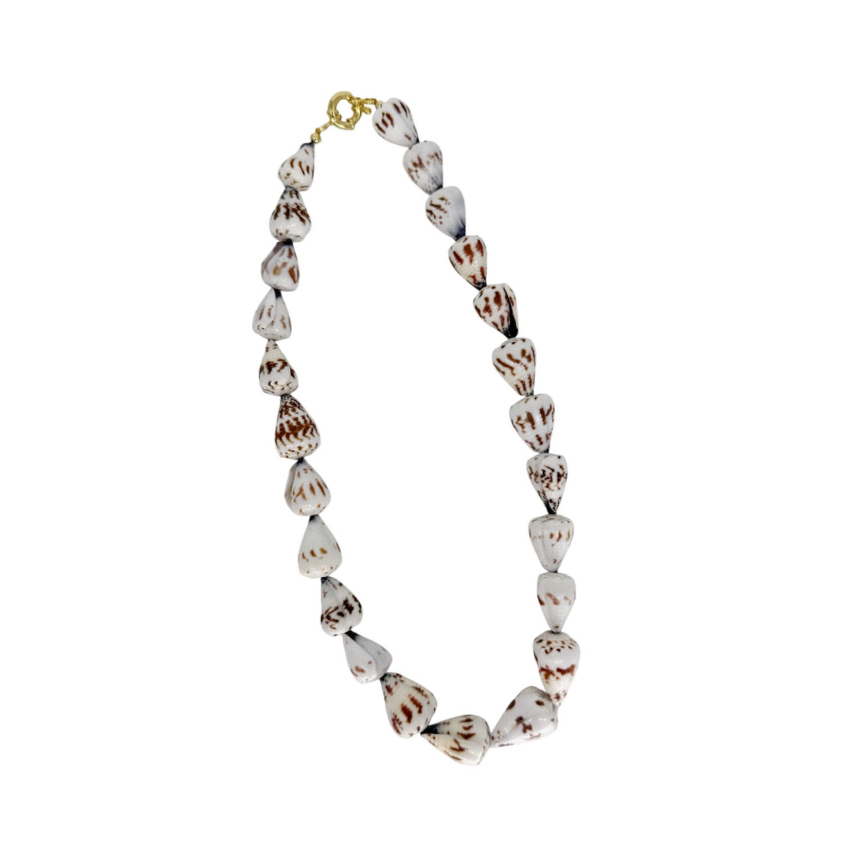16" Tiger Cone Shell Necklace With 15k Gold Plated Copper Clasp