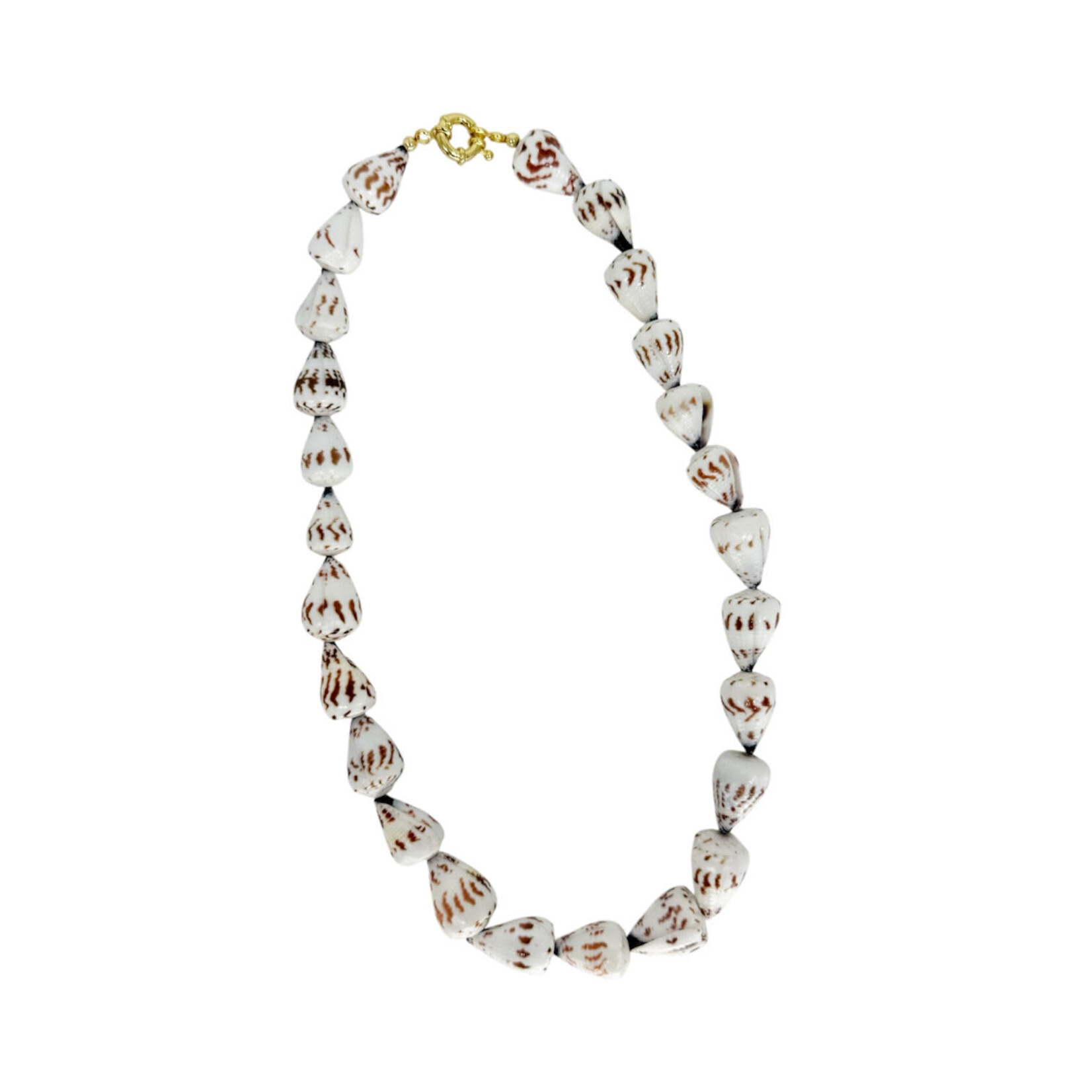 18" Tiger Cone Shell Necklace With 15k Gold Plated Copper Clasp