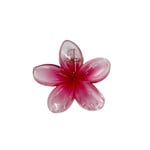Small 2" Plumeria Hair Claw Clear Dark Pink