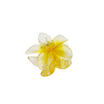 Small 2" Plastic Plumeria Hair Claw Yellow