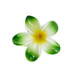Large 3" Plumeria Hair Claw Vibrant Green