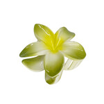 Large 3" Plumeria Hair Claw Pastel Green