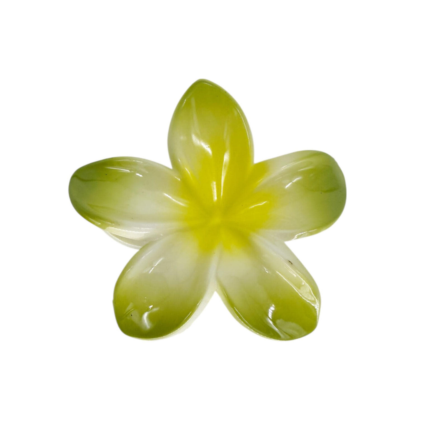 Large 3" Plumeria Hair Claw Pastel Green