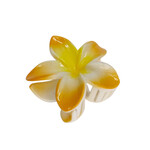 Large 3" Plumeria Hair Claw Pastel Orange