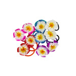 Foam Plumeria Hair Elastic Tie, Pack of 10 Multi