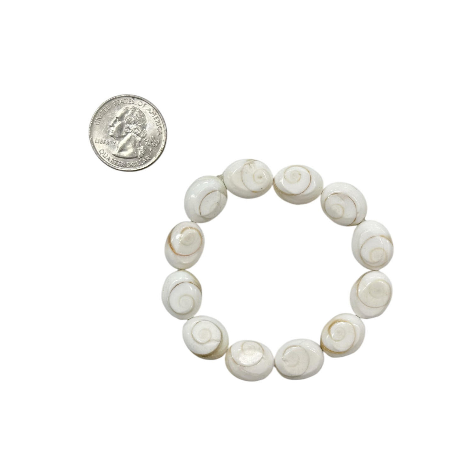 Eye of Shiva Shell Stretch Bracelet
