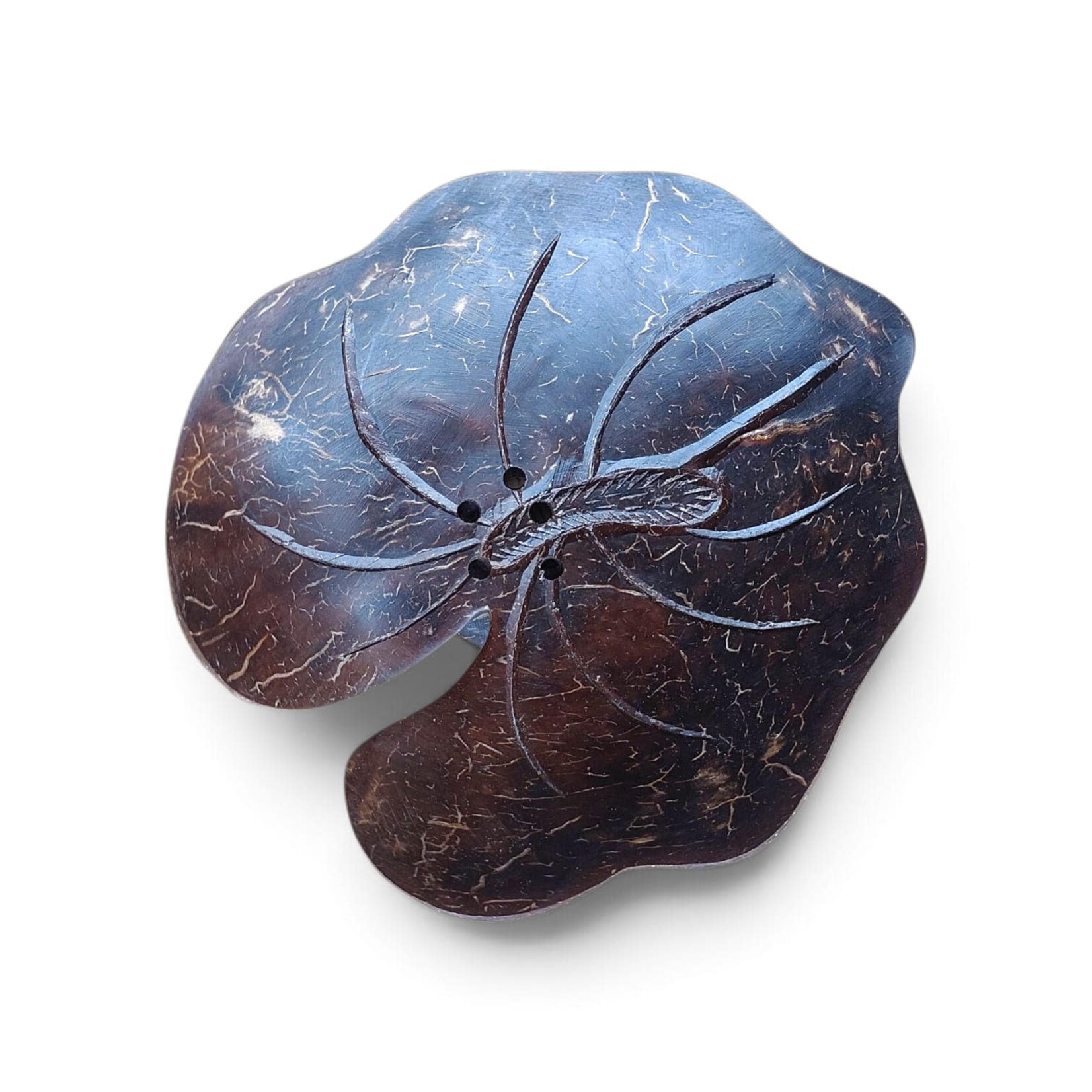 Hand Carved Cocoshell Soap Dish Anthurim