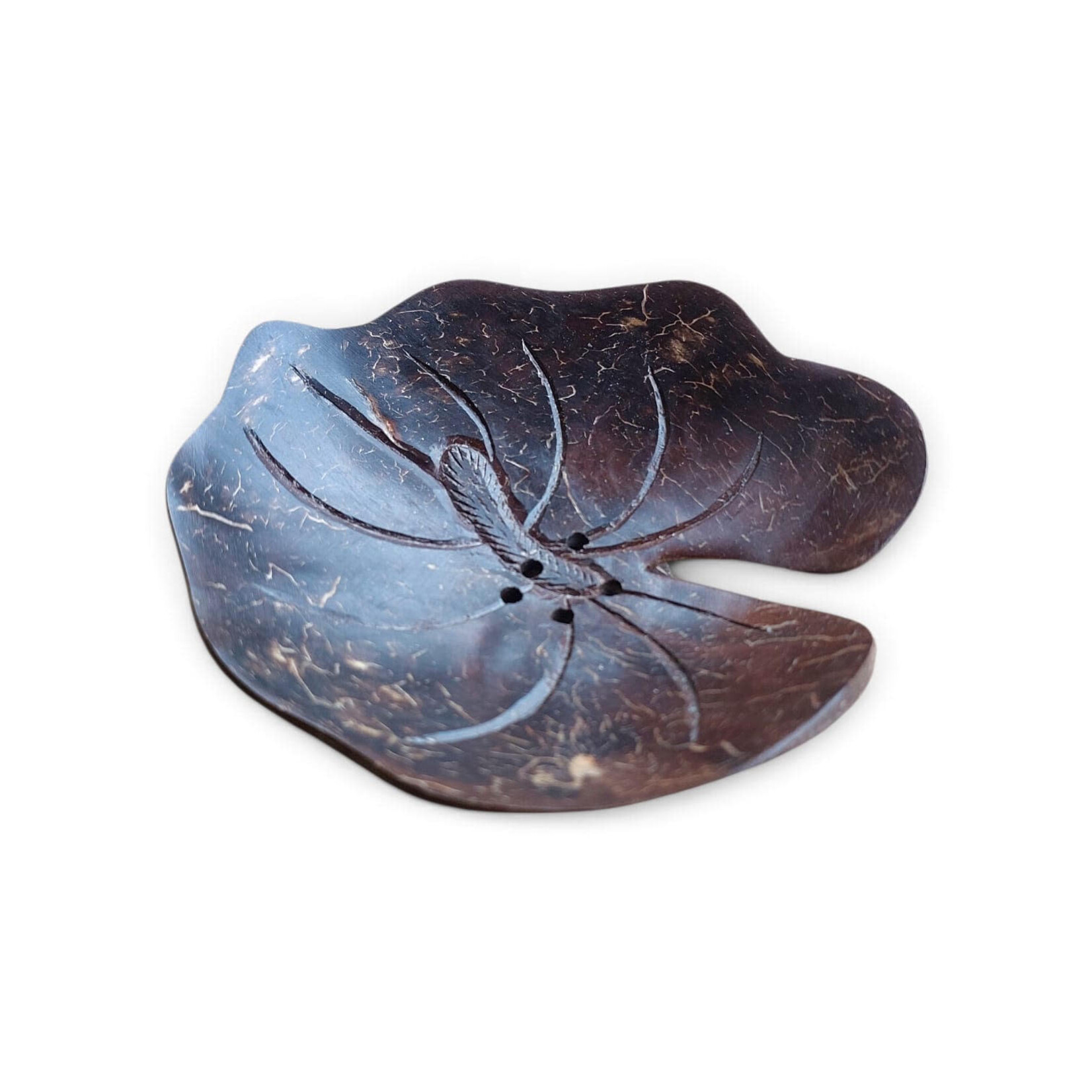 Hand Carved Cocoshell Soap Dish Anthurim