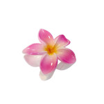 Large 3" Plumeria Hair Claw Vibrant Bubblegum Pink