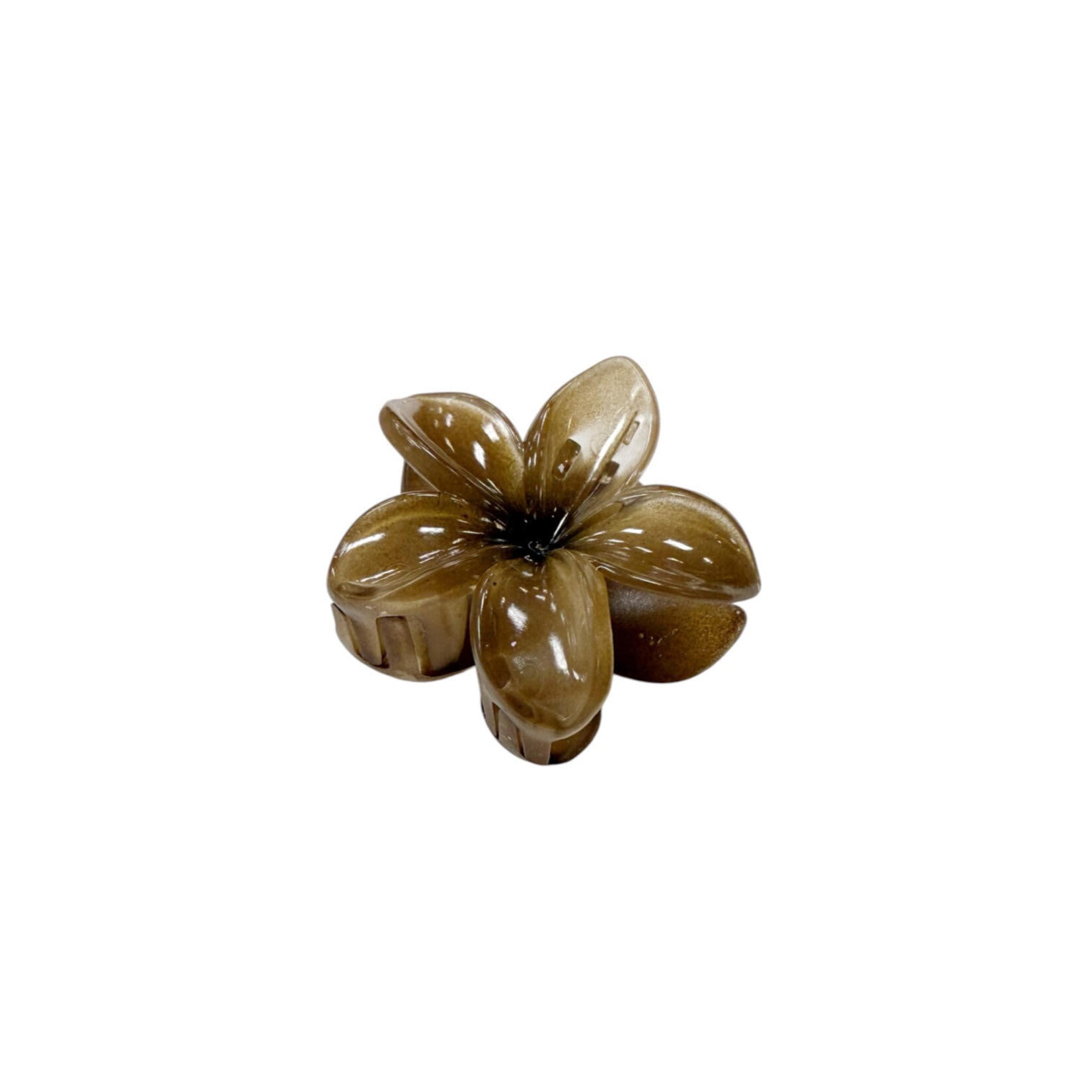 Small 2" Plumeria Hair Claw Opaque Brown